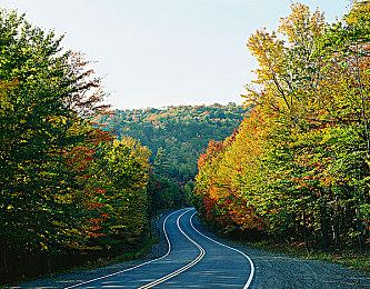 ATLUS将于本周举行《暗喻幻想》周年纪念直播活动